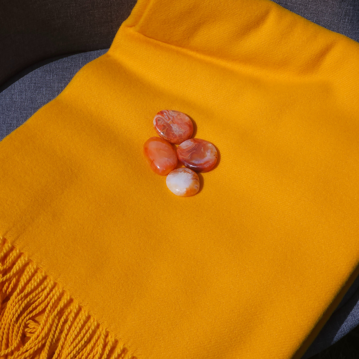 „Regeneration Stone Circle“ pledo rinkinys