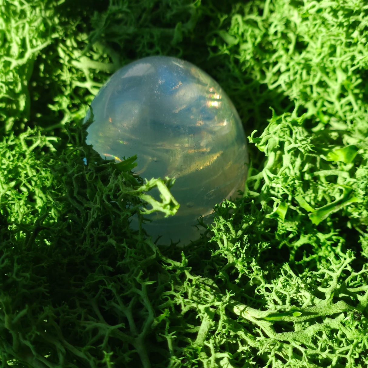 Magiškas Mėnulio kiaušinis