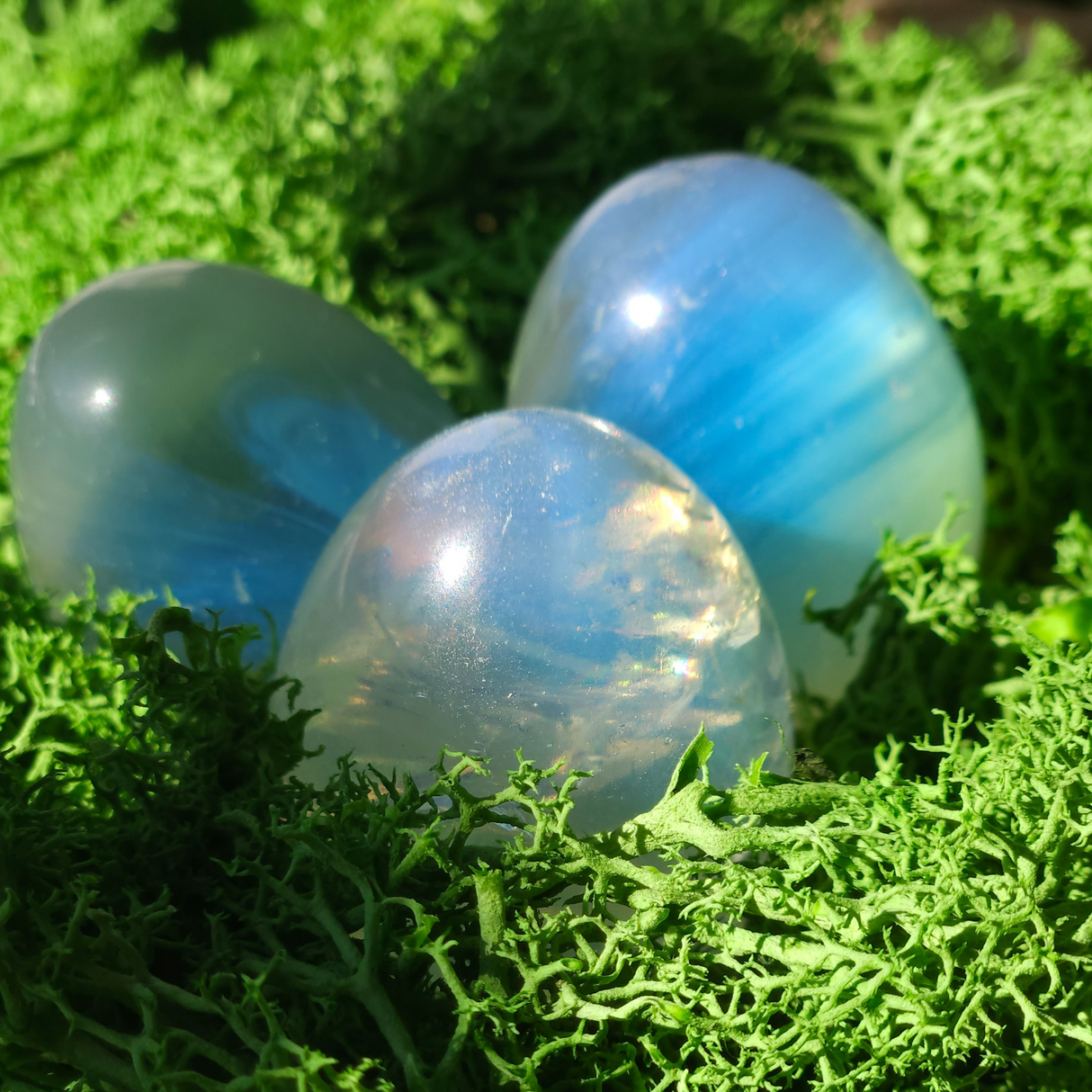 Magiškas Mėnulio kiaušinis