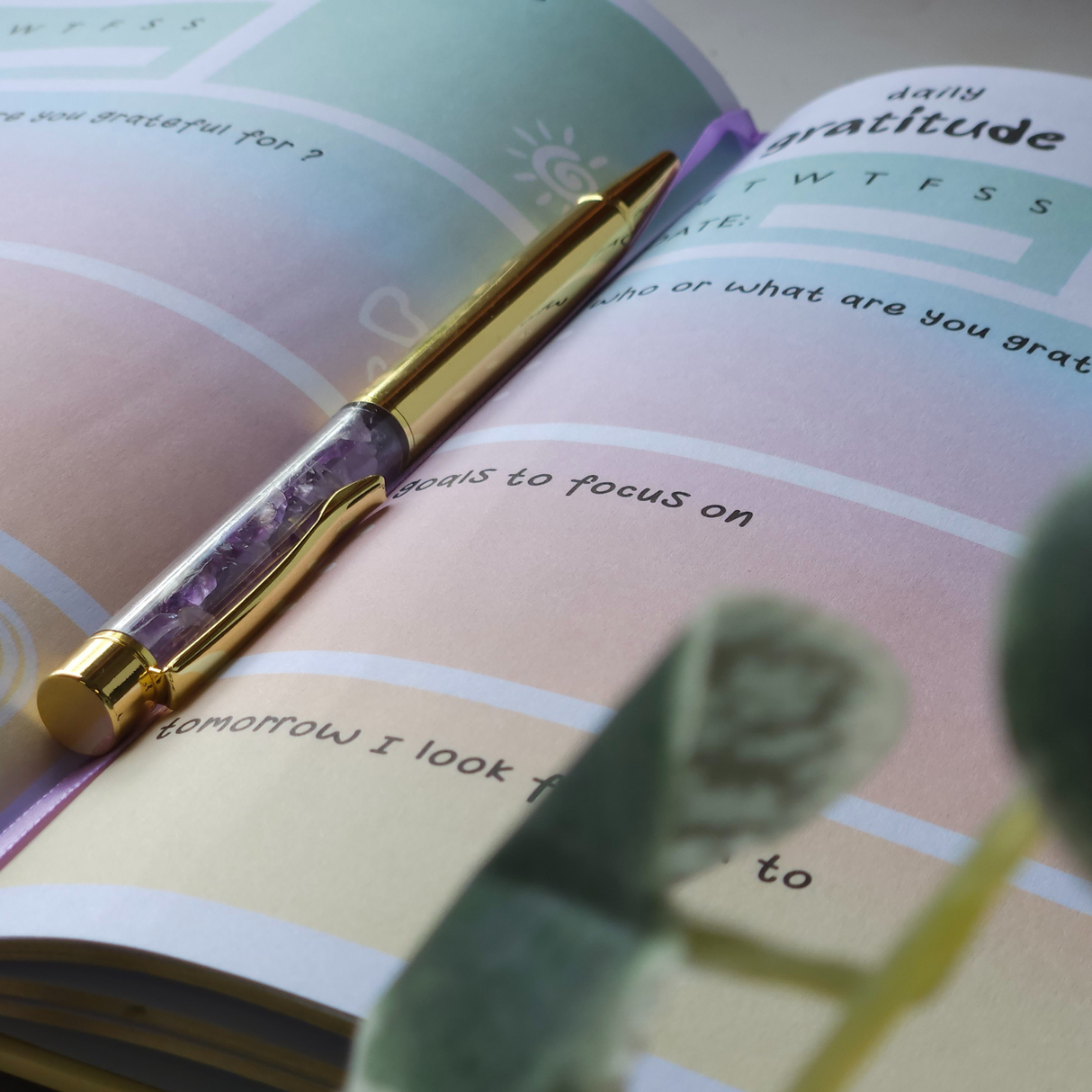 Įvairiaspalvis dėkingumo dienoraštis su ametisto rašikliu