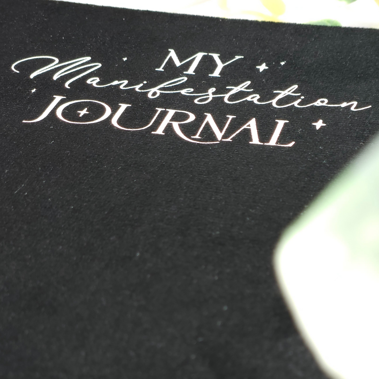 Manifestacijos žurnalas su ametisto rašikliu