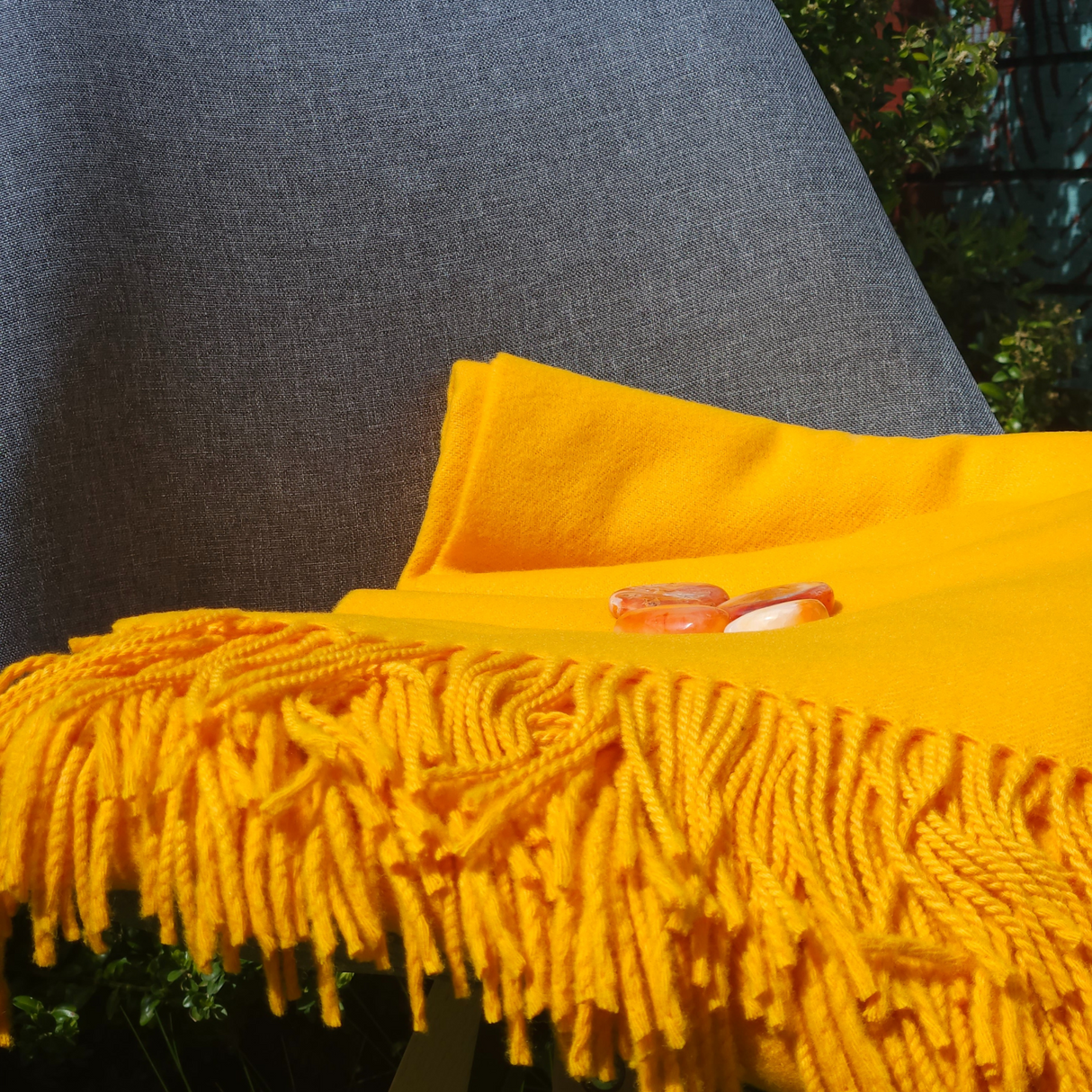 „Regeneration Stone Circle“ pledo rinkinys