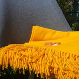 „Regeneration Stone Circle“ pledo rinkinys