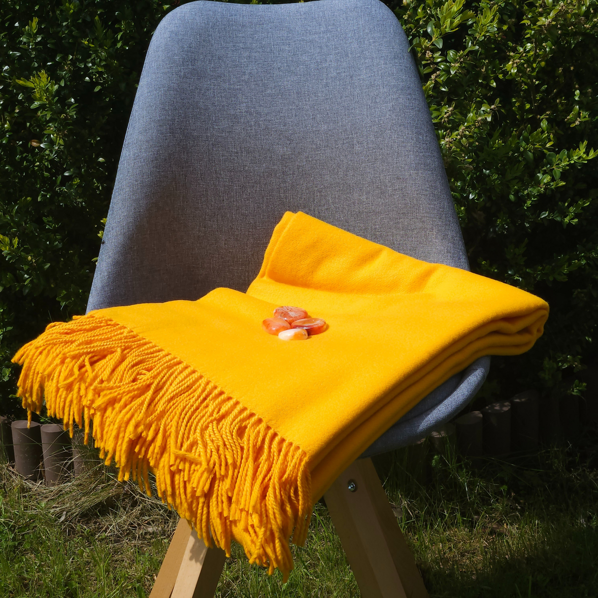 „Regeneration Stone Circle“ pledo rinkinys