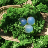 Magiškas Mėnulio kiaušinis