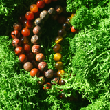 Drąsos ir Stiprybės apyrankių rinkinys