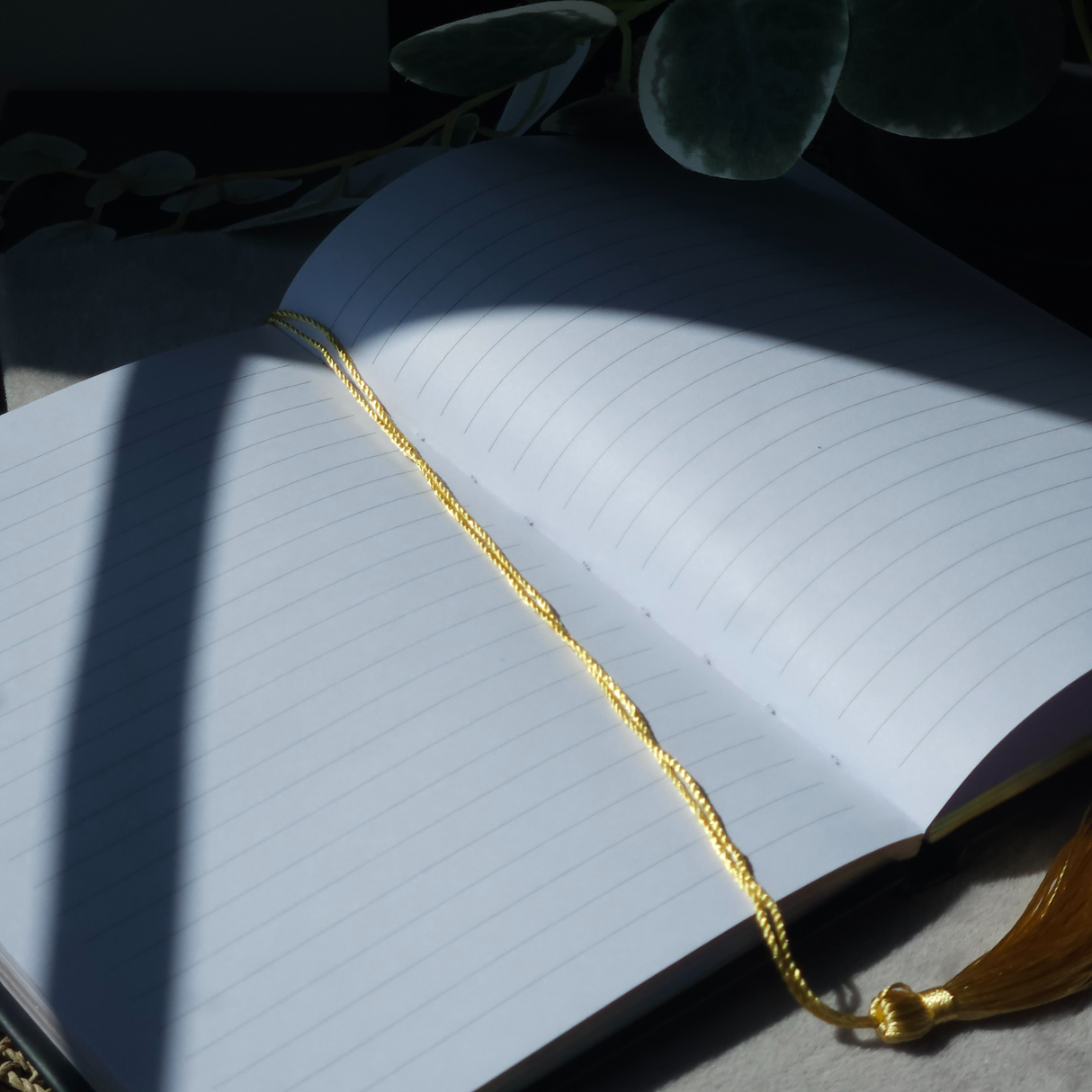 ,,Manifestuokite savo gyvenimą" Savaitės planuotojas