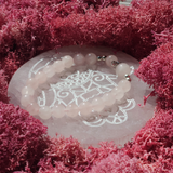 Rožinio Kvarco Angelo apyrankė