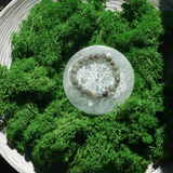 Labradorito Angelo apyrankė