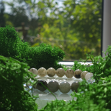 Labradorito ir Kalnų Krištolo apyrankė