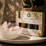Eterinių aliejų aromaterapijos rinkinys „Wellness“