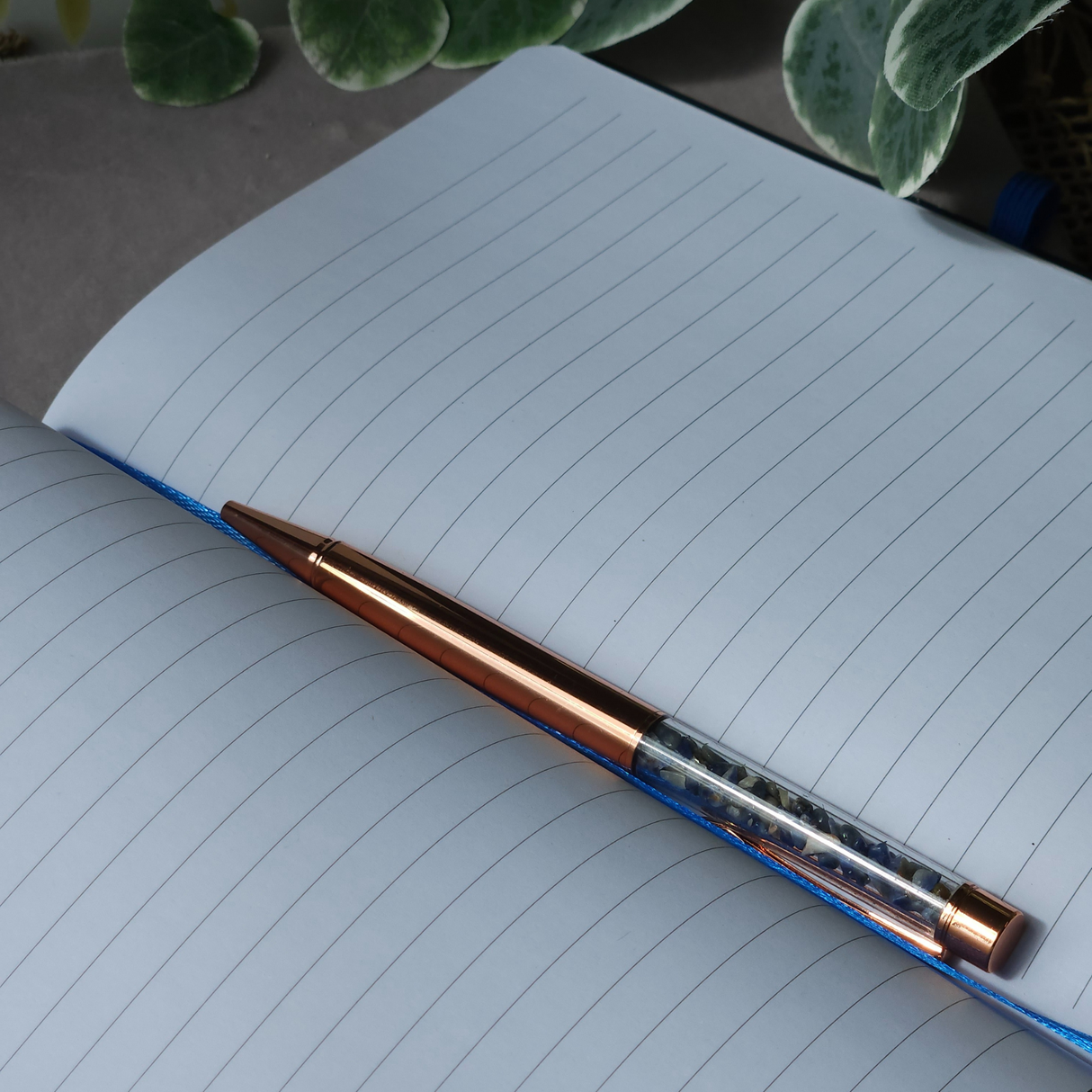 Naktinės pelėdos dienoraštis su sodalito rašikliu